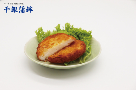 (1543)【定期便】 練り物 蒲鉾 エソすり身 魚ロッケ 魚そうめん 蒲鉾 竹輪 ちくわ 毎月 全5回 長門市