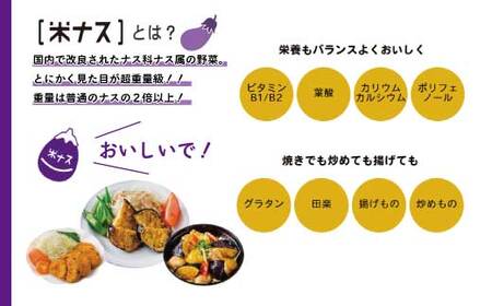 【 期間限定 】デカ！ピカ！ツル！しまんとにしとさ 米ナス 9玉（約2.7kg）国産 高知県 四万十市 しまんと 西土佐 旬 野菜 やさい 夏野菜 なす なすび 茄子 ナス 米なす 新鮮 産地直送 【2026年5月下旬～10月下旬まで発送】SMT002-0001