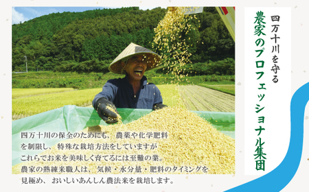 【 令和7年産 】おいしい・あんしん・しまんとのお米 しまんと農法米 ヒノヒカリ 10kg （5kg×2袋） 国産 ひのひかり 令和7年 2025年 精米 白米 米 おこめ ご飯 ごはん 高知 四万十 しまんと 四万十川 農協 JA 25-448
