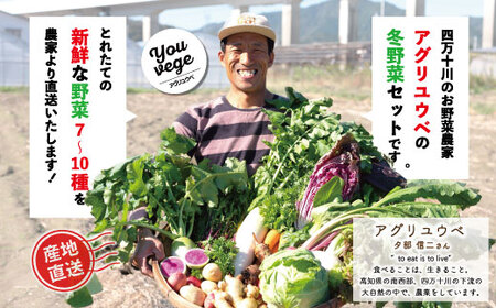 【 2回定期便 早期受付 数量限定 】アグリユウベの冬野菜セット (大) とれたて 新鮮 農家直送 国産 野菜 野菜便 やさい 野菜 冬野菜 産地直送 国産 旬 高知県 四万十市 四万十 しまんと 定期便 【配送月：2027年1月・2月】26-985