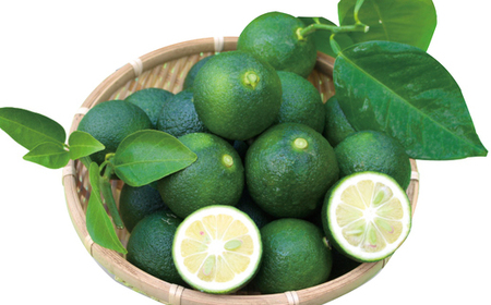 久保田食品 四万十ぶしゅかんアイスキャンデー 10本 入り 冷菓 菓子 冷凍 冷凍便 アイス アイスキャンデー スイーツ おやつ おいしい 四万十市産 ぶしゅかん 人気 おすすめ ご当地 お取り寄せ ギフト 夏ギフト お中元 お歳暮 のし対応 26-443