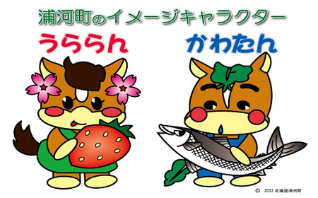 北海道浦河町オリジナルグッズ☆オールスターセット[50-1304]