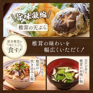 三陸山田産　原木乾椎茸「香信」三陸山田 山田町 野菜 きのこ きのこ名人 農林水産大臣賞 匠 YD-454