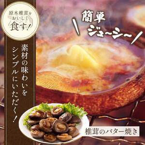 三陸山田産　原木乾椎茸「中葉厚肉」 三陸山田 山田町 野菜 きのこ きのこ名人 農林水産大臣賞 匠 YD-455