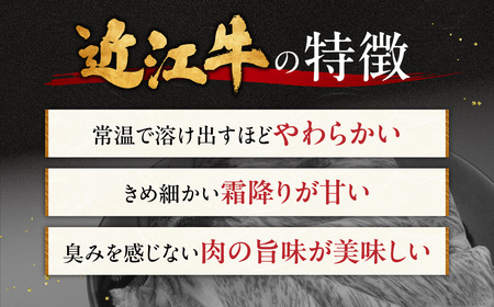 近江牛ロースすき焼き 600g 3～4人前 肉の大助 滋賀県 東近江市 C-E14 和牛 牛肉 すき焼き すきやき ロース肉 霜降り A4 A5ランク 高級 ブランド牛