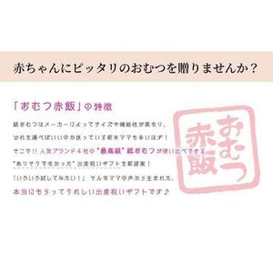 4種類のおむつが試せる「おむつ赤飯」！出産祝いギフトメッセージカード【有り】