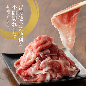 【小分け！】宮崎県産豚肉　放牧豚こま切れ　10袋(計2.5㎏) 【 豚肉 豚 肉 豚 小間切れ 豚 細切れ 豚 炒め物 豚 】