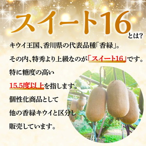 【さぬき讃フルーツ】香緑キウイ(スイート16)約1.3kg化粧箱入り