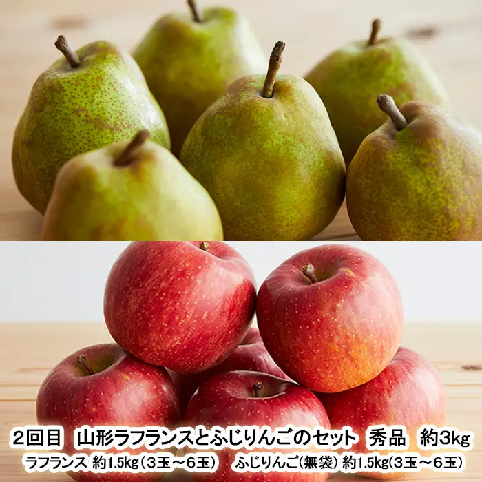 【定期便2回】山形 Juicyフルーツ 秋冬便 【令和8年産先行予約】FU23-925 くだもの 果物 フルーツ 山形 山形県 山形市 2026年産