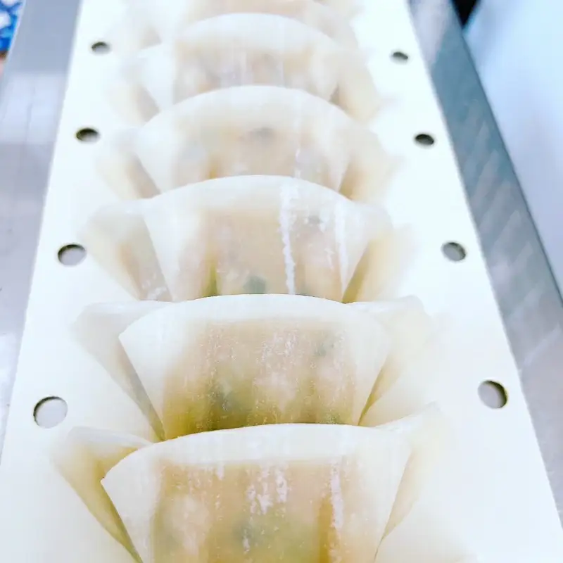 にんにく餃子セット　50個（25個入り×2パック） / 和歌山県 田辺市 ぎょうざ ギョウザ ギョーザ 手作り 紀州うめぶた 無添加 冷凍【gyz004-2】
