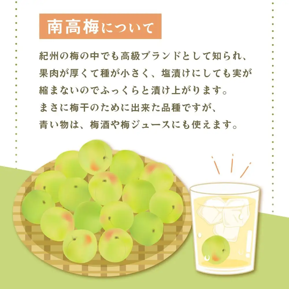 青い南高梅 2kg  L〜2L寸 紀州特産 梅酒 梅ジュースに最適！ 【先行予約：2026年6月1日以降順次発送】