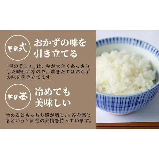 【定期便 3回】3ヶ月連続でお届け 星の美しゃ・於茂登のひかり・ひとめぼれ 5kg が毎月交互に届く(合計15kg)  石垣島産 MK-8
