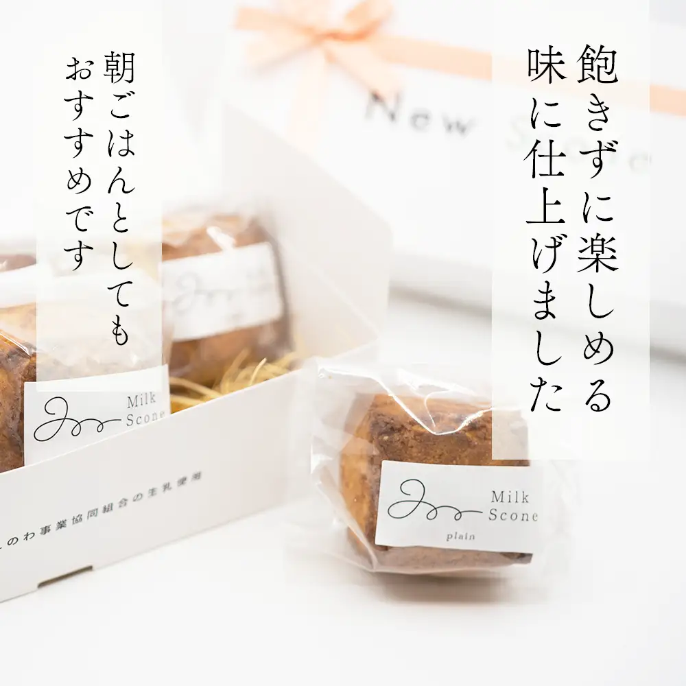 Milk Scone（プレーン1種×6個）【CJ0000239】 （ スコーン プレーン 北海道 人気 ふるさと納税 ）