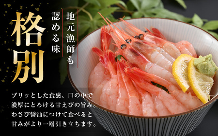 鮮度抜群！越前町産 甘えび 250g × 2Pセット 小分け パックで食べやすい！【えび エビ 海老 刺身 海鮮 海産物 魚貝類 魚介類 新鮮 冷凍 】 [e04-a098]