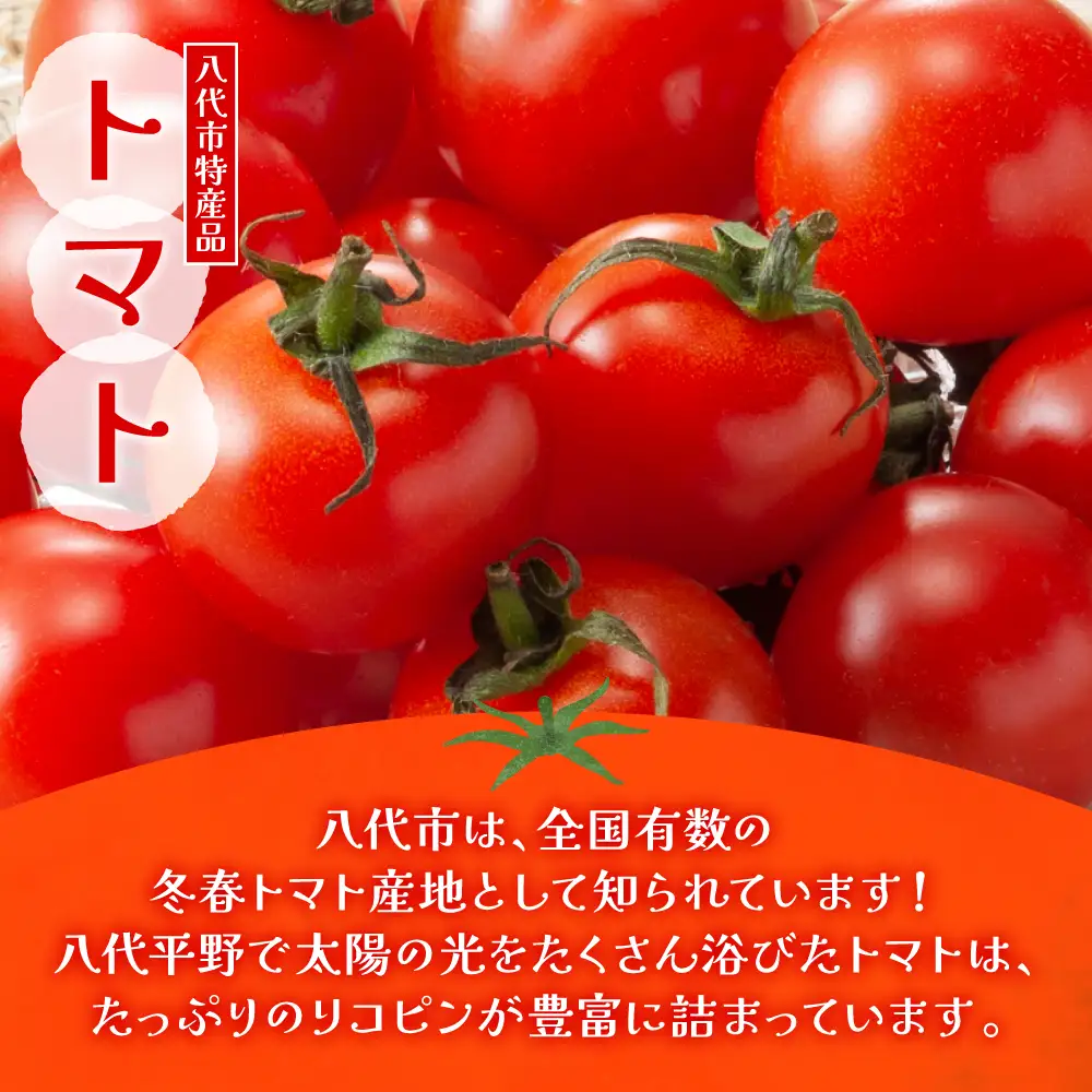 熊本県 八代市産 晩白柚ペースト「マキシト」＆トマトピューレ「リコプレン」セット ばんぺいゆ 柑橘 手作り