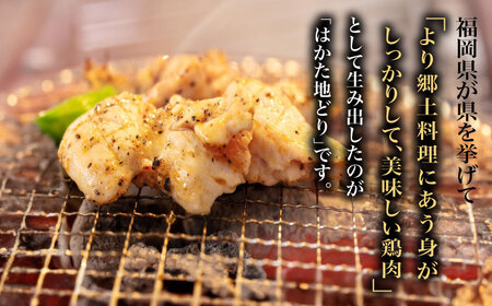 【全6回定期便】【化粧箱入】はかた地どり モモ・ムネ肉 合計500g 塩胡椒付焼き鳥 焼き肉 すき焼き用 [ABCJ121] 