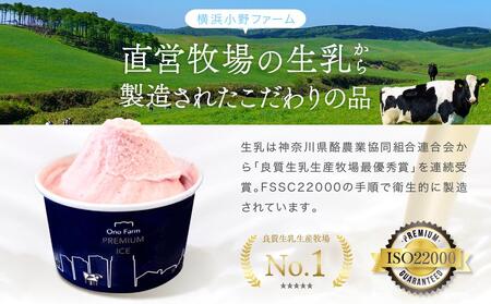 直営牧場搾りたてミルクで作るジェラート（５種 計10個）〈小野ファーム〉 ABN0001