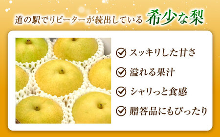 上岡果樹園のかおり梨 4-6玉入り BKAD056