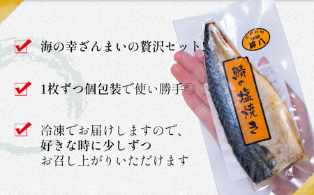 干物・焼魚・塩辛セット 4~6種10枚 株式会社鈴八フーズ 《30日以内に出荷予定(土日祝除く)》【配送不可地域：離島】