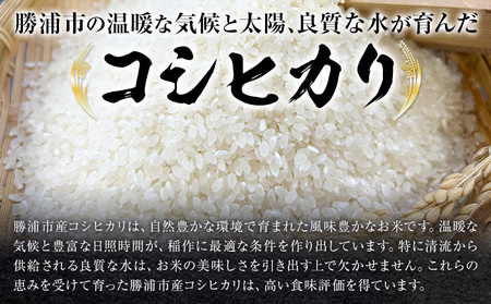 勝浦産 コシヒカリ (真空パック) 300g × 12個 と 勝浦タンタンメン 生3人前 × 2セット 御門商店 (有限会社 岩瀬竹次郎商店) 【配送不可地域あり】 《90日以内に出荷予定(土日祝除く)》千葉県 勝浦市 米 こしひかり タンタンメン 担々麺