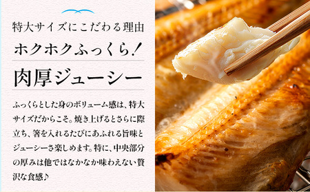 特大肉厚 シマホッケ 開き 5枚 約450g 合計 約2.2kg 株式会社西川