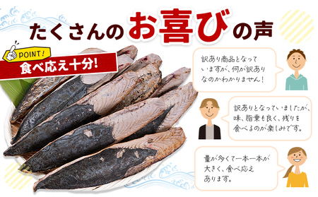 訳あり カツオのたたき 約2.4kg カツオ 鰹 株式会社西川