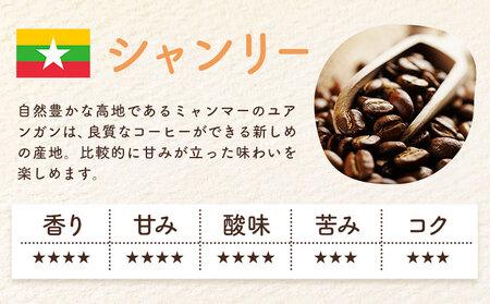 自家焙煎スペシャルティ 珈琲 ドリップバッグ 3種 セット 1箱:ドリップバッグ5個入り AyaHaruCoffee《90日以内に出荷予定(土日祝除く)》【配送不可地域：離島】|ドリップコーヒー ドリップコーヒー ドリップコーヒー