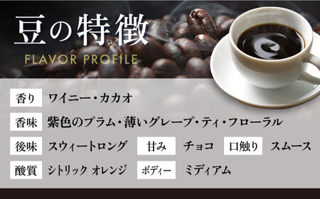 【全12回定期便】コーヒー豆 自家焙煎 中煎り エルサルバドル 200g×4 TSUKIKOYA COFFEE ROASTER ツキコヤ 珈琲 こだわり 横須賀【株式会社RUINS】 [AKAD030]
