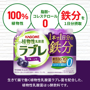 植物性乳酸菌ラブレ　1日分の鉄分36本[052S05]