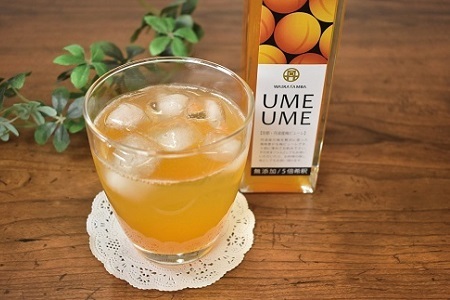 UMEUME（梅）・UMEBERRY（梅ベリー） 丹波・梅ピューレ 京都 丹波 完熟梅 無添加 5倍希釈 315ml [014WT001]