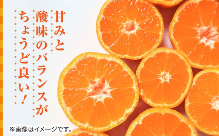 【先行予約】温州みかん約5kg　2S〜2Lサイズ　【くまふる】[ZBG051]