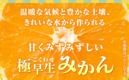 【先行予約】極早生みかん 約2.5kg　2S〜2Lサイズ　【くまふる】[ZBG056]