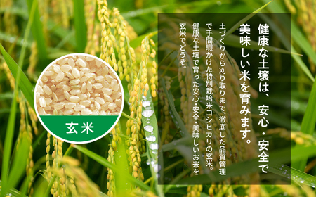 令和7年産 コシヒカリ玄米10kg（5kg×2袋）【ADATARAふぁーむ】