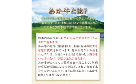 あか牛 ローストビーフ 500g×1 あか牛