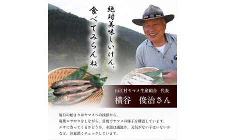 ヤマメ 塩焼き 3袋 山江村ヤマメ生産組合