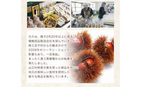 炊き込みご飯の素 混ぜご飯の素セット 各250g×1個 有限会社 やまえ堂 《30日以内に出荷予定(土日祝除く)》