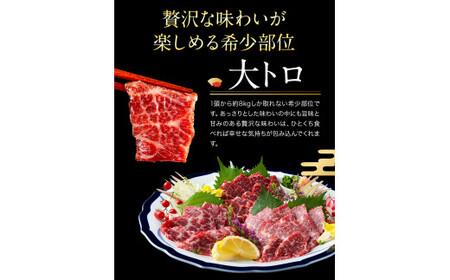鮮馬刺し大トロ 約240g タレ付き 馬肉 冷凍 《60日以内に出荷予定(土日祝除く)》 