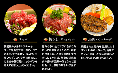 贅沢バラエティセット 520g 馬肉 冷凍 《60日以内に出荷予定(土日祝除く)》 