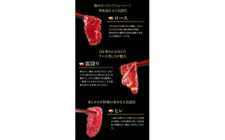 馬刺し 7部位堪能セット 約510g タレ付 |馬刺し