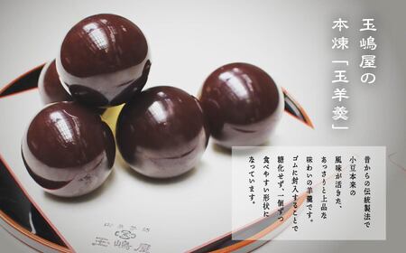 羊羹 玉嶋屋の桃玉詰め合わせ 10個入り ようかん【株式会社玉嶋屋】