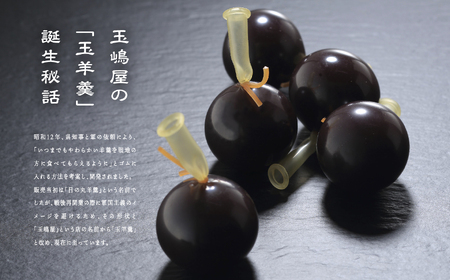 羊羹 玉嶋屋の玉羊羹 20個入り ようかん【株式会社玉嶋屋】