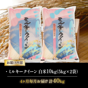 令和7年産 米 ミルキークイーン 定期便 10kg 全4回 白米 5kg × 2袋 4ヶ月 近江米 みるきーくいーん 国産 お米 米 おこめ ごはん ご飯 白飯 しろめし こめ ゴハン 御飯 滋賀県産 竜王 ふるさと ランキング 人気 おすすめ