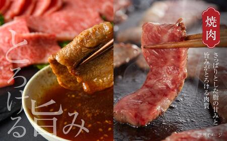 飛騨牛 焼肉 厳選2種盛（赤身・カルビ） 600g（150g×各2パック） 冷凍真空パック | 肉 黒毛和牛 個包装 【飛騨高山ミートMZ008】〔飛騨牛国産　飛騨牛和牛　飛騨牛ブランド　飛騨牛黒毛和牛〕