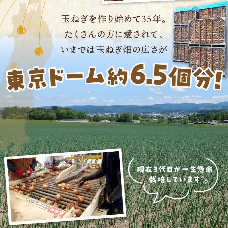 【予約：2026年10月から順次発送】日本一の生産地！北海道北見市の玉ねぎ 20kg！スープ2本付き♪ ( 玉ねぎ 玉葱 たまねぎ タマネギ オニオン スープ 即席 料理 )【164-0004-2026】