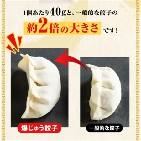 爆じゅう餃子　45個入り_惣菜・加工品 餃子  ぎょうざ ギョウザ_【配送不可地域：離島】【1209776】