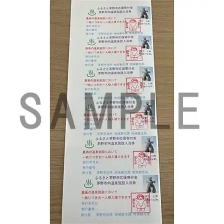 市内公共温泉施設利用券12枚　温泉　信州　蓼科_旅行券・チケット  温泉利用券 _【1414110】