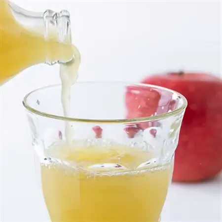 果汁100%りんごジュース　1L×6本_飲料・ドリンク りんごジュース 果汁飲料 林檎ジュース アップルジュース リンゴジュース_【1416317】