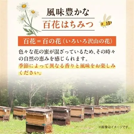 信州産アカシアはちみつ600g・百花はちみつ600gセット_調味料 はちみつ  ハチミツ 蜂蜜_【1416540】