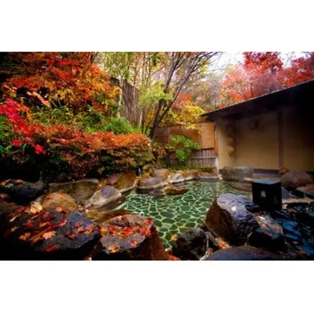 藍染と懐石料理の宿　たてしな藍でご利用いただけるペア宿泊券_旅行券・チケット 宿泊券  _【1417342】