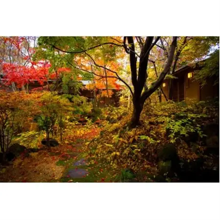 藍染と懐石料理の宿　たてしな藍　ペア昼食券_旅行券・チケット 食事券  _【1417785】